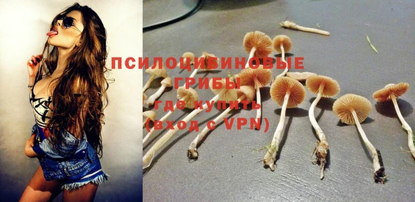 таблы Алзамай