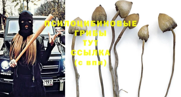 амф Алексеевка
