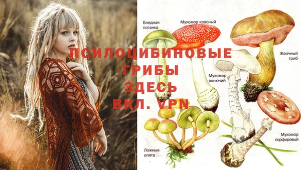 таблы Алзамай