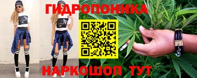 стафф Бийск