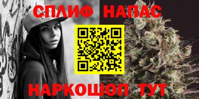 стафф Бийск