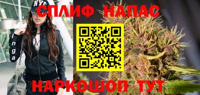 стафф Бийск