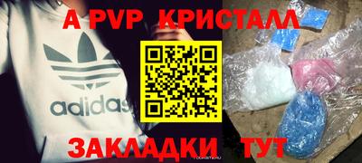 стафф Бийск