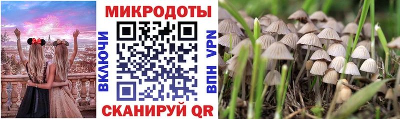 где продают наркотики  Борзя  Галлюциногенные грибы Cubensis 