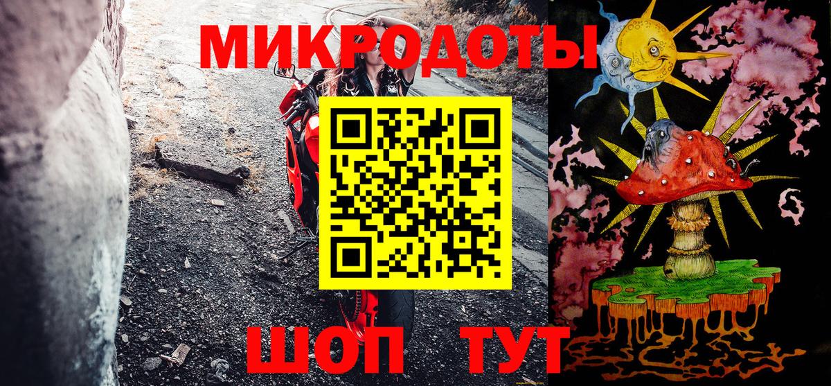 Псилоцибиновые грибы Cubensis Борзя