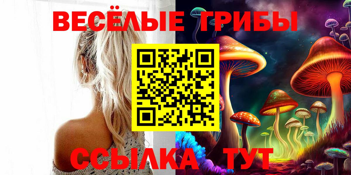 Борзя  Галлюциногенные грибы прущие грибы  Вход с VPN 